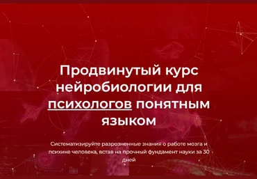 В. Дубынин, И. Мартынов Продвинутый курс нейробиологии для психологов понятным языком 2023 слив