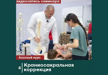 Антон Циванюк, Михаил Белюк Сандал Краниосакральная коррекция. Без сертификата 2023 слив