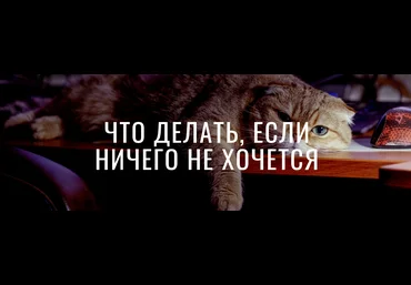 b17 Марина Радионова ― Гайд «Что делать, когда ничего не хочется?» 2024 слив