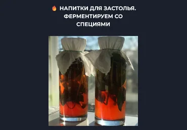 Вероника Порсина Напитки для застолья. Ферментируем со специями 2024 слив