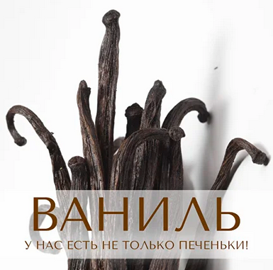 Анна Зворыкина Парфюмерия Ваниль: у нас есть не только печеньки! 2024 слив курса