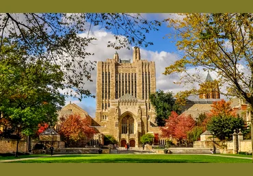 Yale University Введение в психологию. Лекции Йельского Университета Часть 9 из 10 слив