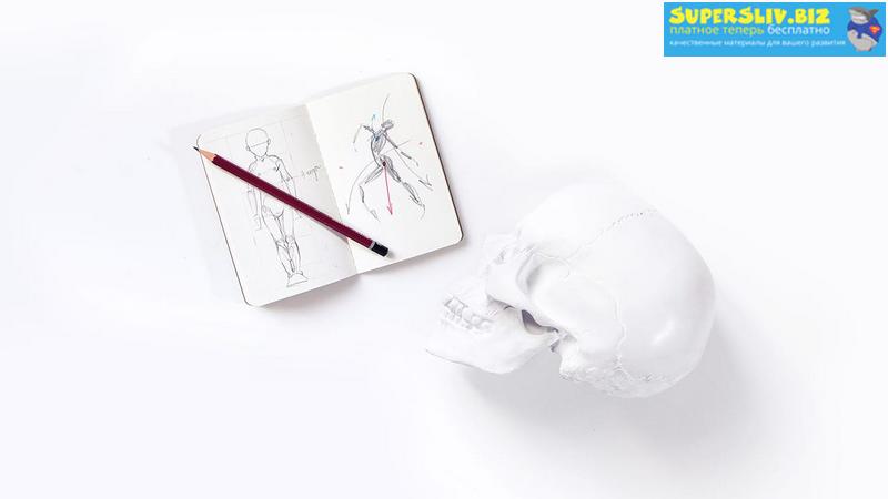 Софья Мироедова Анатомия для иллюстратора 2019 слив курса