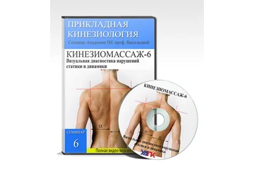 Евгения Чижикова Кинезиомассаж 6. Визуальная диагностика нарушений статики и динамики 2020 слив