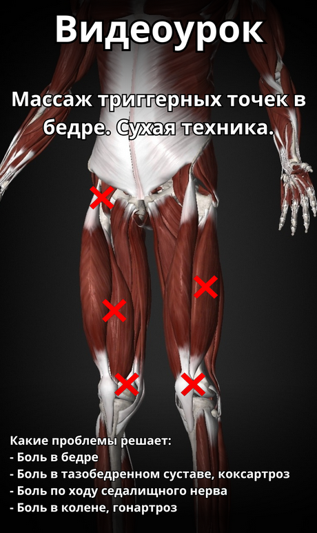 Артём Пак Массаж триггерных точек в бедре 2024 слив курса