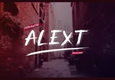 Fontbundles Alext 2022 слив