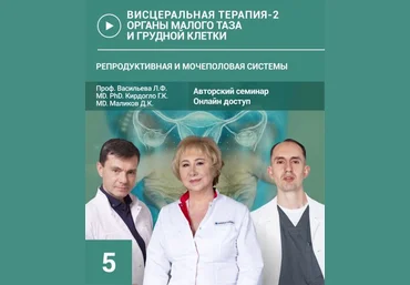 Л. Васильева, Г. Кирдогло и др. Висцеральная терапия-2. Органы малого таза и грудной клетки. Семин слив