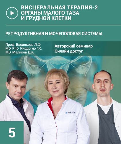 Л. Васильева, Г. Кирдогло и др. Висцеральная терапия-2. Органы малого таза и грудной клетки. Семин слив курса