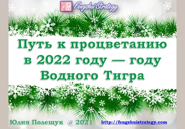 Юлия Полещук Путь к Процветанию в 2022 году - году Водного Тигра 2021 слив