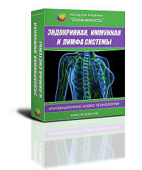 Эндокринная, иммунная и лимфа системы программа для женщин - Ревенко 2016 слив курса