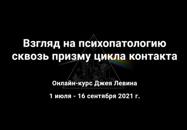 Джей Левин МИГИП Взгляд на психопатологию сквозь призму цикла контакта 2021 слив