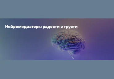 Вячеслав Дубынин Дубынин о мозге Нейромедиаторы радости и грусти 2023 слив