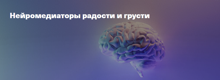 Вячеслав Дубынин Дубынин о мозге Нейромедиаторы радости и грусти 2023 слив курса