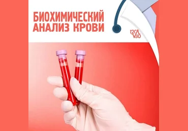 Антон Поляков Биохимический анализ крови 2022 слив