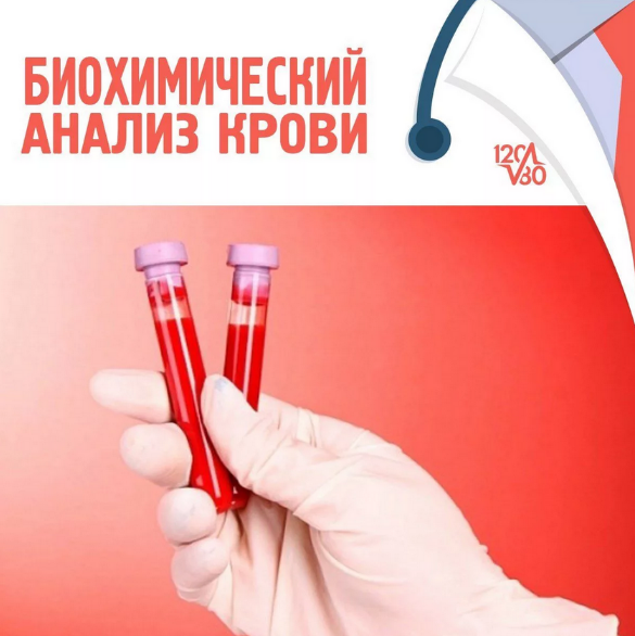 Антон Поляков Биохимический анализ крови 2022 слив курса