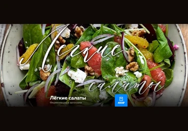 Ольга Богатова Лёгкие салаты. Ферментация и заготовки 2025 слив