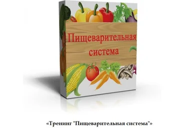 Евгения Свербхина Пищеварительная система и все о еде слив