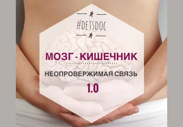 Владимир Попов Как здоровье кишечника влияет на работу мозга слив