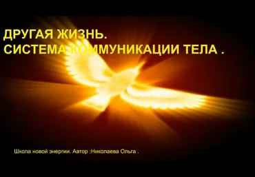 Ольга Николаева Другая жизнь. Система коммуникации тела 2022 скачать слив