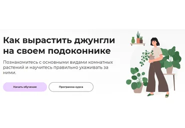 Правое полушарие Интроверта Елена Лейн - Как вырастить джунгли на своем подоконнике 2022 слив