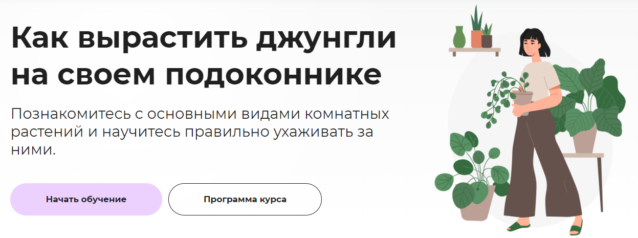 Правое полушарие Интроверта Елена Лейн - Как вырастить джунгли на своем подоконнике 2022 слив курса