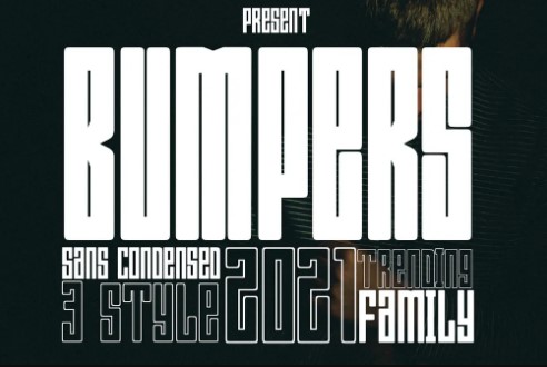 Elements.Envato Bumpers Font слив курса