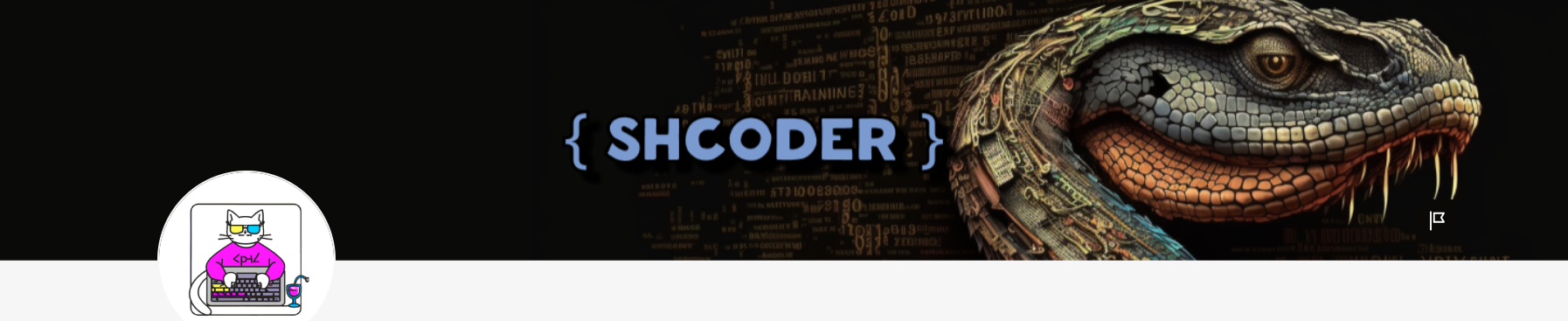 Shcoder Подписка на контент Shcoder. Тариф Джунни Сентябрь 2025 и ранее слив курса