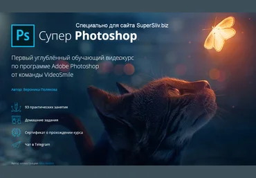 VideoSmile Супер Photoshop 2020 Вероника Полякова слив