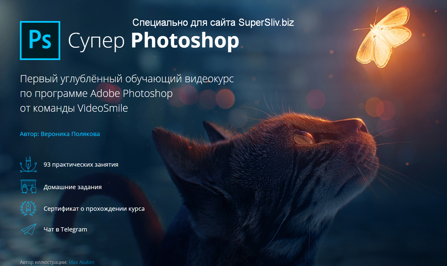 VideoSmile Супер Photoshop 2020 Вероника Полякова слив курса