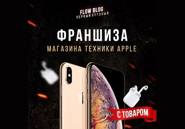 Григорий Андриянов Франшиза магазина техники Apple 3.0 2021 слив