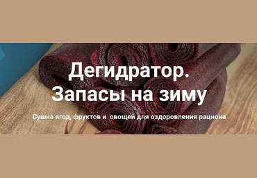 Ольга Неблогер Дегидратор. Запасы на зиму 2022 слив