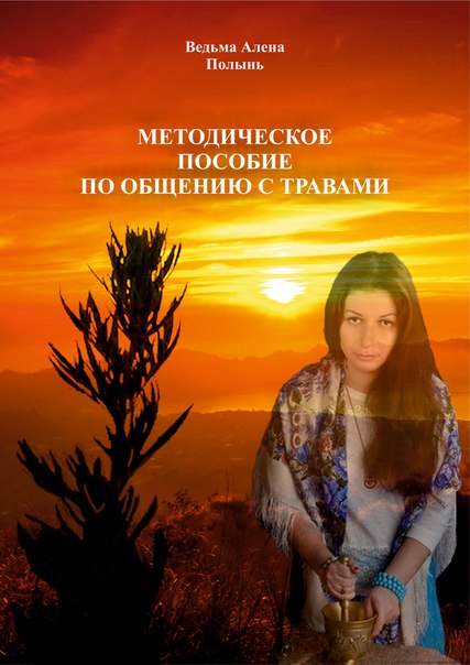 Методическое пособие по общению с травами - Полынь Веда слив курса