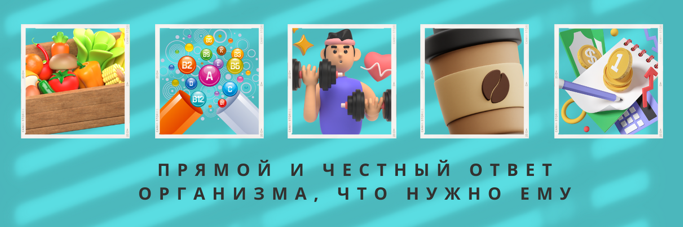 ShtDY Точные ответы организма. Спросите сами у организма что ему нужно 2024 слив курса