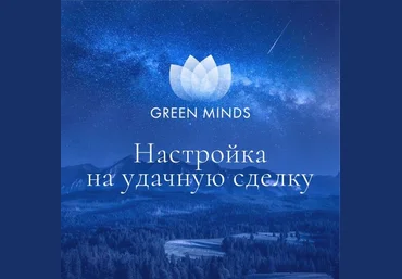 Алексей Ситников Нейромедитация GREEN MINDS «Настройка на удачную сделку», «Продуктивный бизнес» слив
