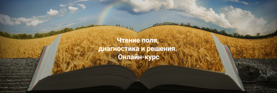 Елена Веселаго Чтение поля, диагностика и решения .Тариф Апгрейд до пакета «Полный» 2024 слив курса