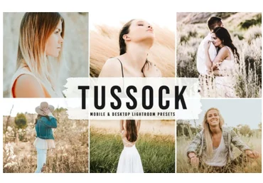 Elements.Envato Tussock Mobile & Desktop Lightroom Presets 2021 слив