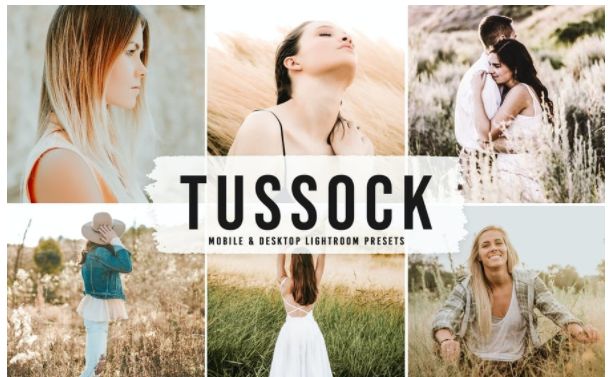 Elements.Envato Tussock Mobile & Desktop Lightroom Presets 2021 слив курса