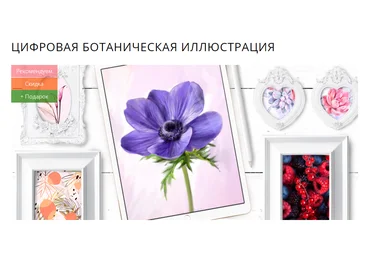 Marker School Юлия Максимова - Цифровая ботаническая иллюстрация 2023 слив