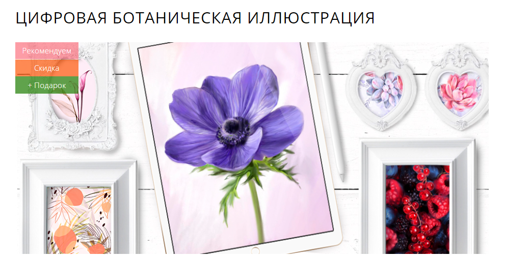 Marker School Юлия Максимова - Цифровая ботаническая иллюстрация 2023 слив курса