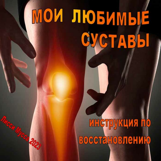 Лисси Мусса Мои любимые суставы. Инструкция по восстановлению 2023 слив курса