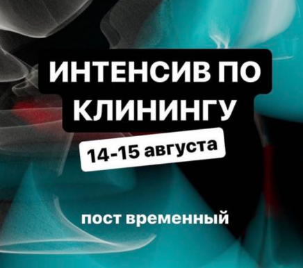 aida_prodom Аида Синицына - Интенсив по клинингу 2023 слив курса