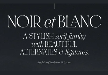 Creativemarket Noir et blanc Font 2021 скачать слив