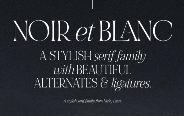 Creativemarket Noir et blanc Font 2021 слив курса