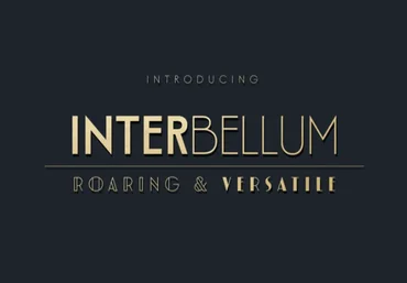 Myfonts Interbellum Font 2021 скачать слив