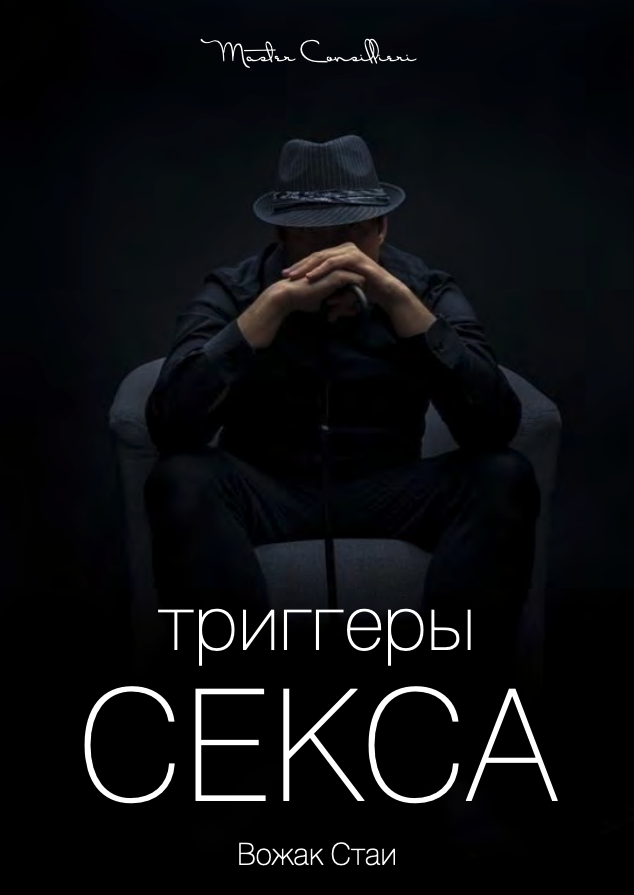 Вик Орлов Триггеры Секса: Как успешно конкурировать с более молодыми, прокачанными и обеспеченными слив курса