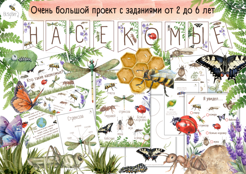 BusyBee Елена Самсонова ― Большой проект «Насекомые» 2025 слив курса