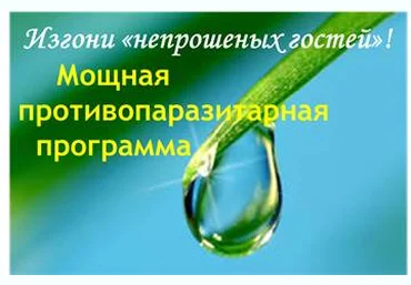 Изгони непрошеных гостей - Дудник 2016 слив