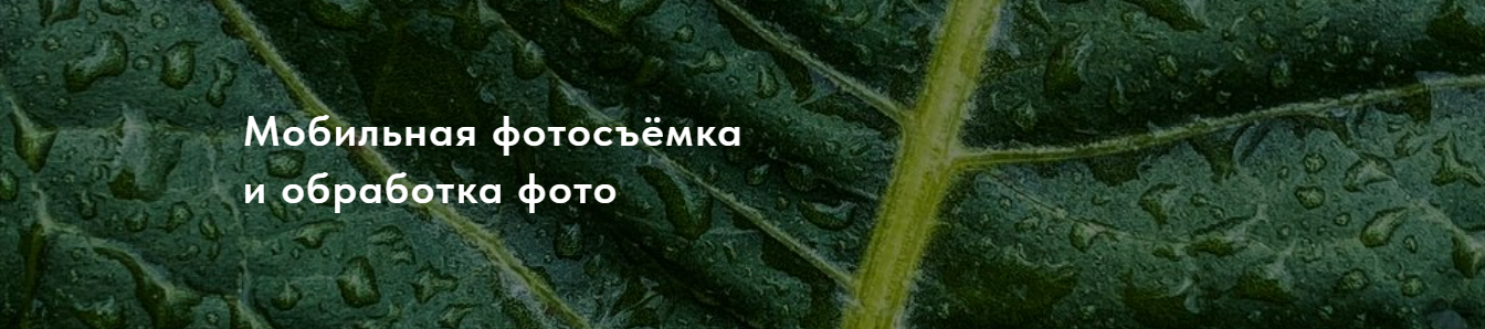 Masha_fotoblog Мобильная фотосъемка и обработка фото 2023 слив курса