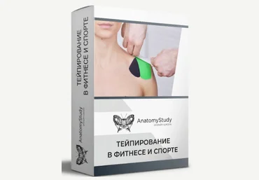 Анатомия Андрей Богатырев - Тейпирование в фитнесе и спорте для фитнес-тренера 2022 слив