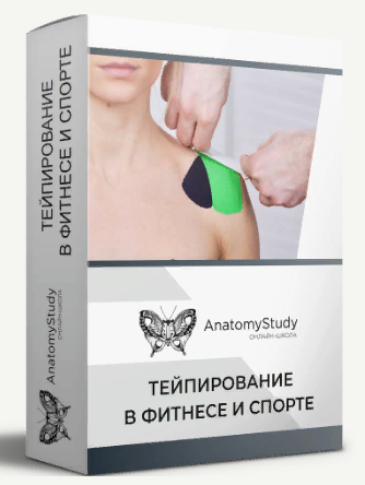 Анатомия Андрей Богатырев - Тейпирование в фитнесе и спорте для фитнес-тренера 2022 слив курса